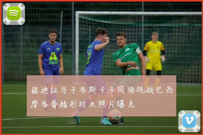 赫迪拉与卡洛斯卡卡同场观战巴西摩洛哥精彩对决照片曝光