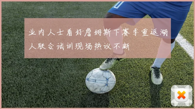业内人士看好詹姆斯下赛季重返湖人联合试训现场热议不断